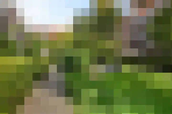 Tugelaweg 24 D Amsterdam thumbnail 27