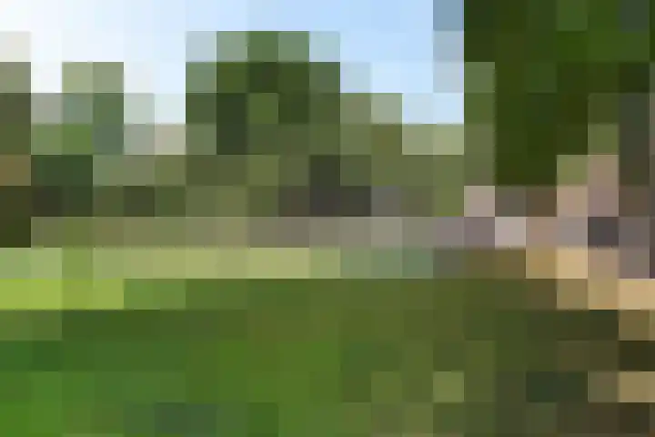 Tugelaweg 24 D Amsterdam thumbnail 29
