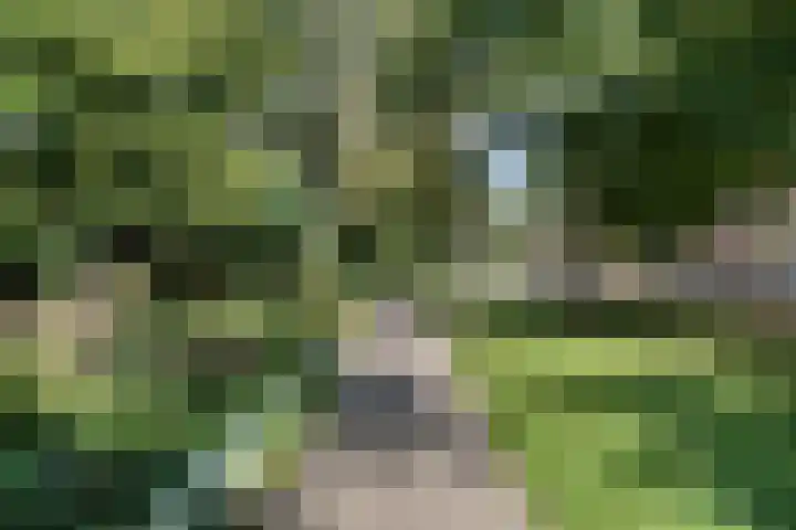 Tugelaweg 24 D Amsterdam thumbnail 32