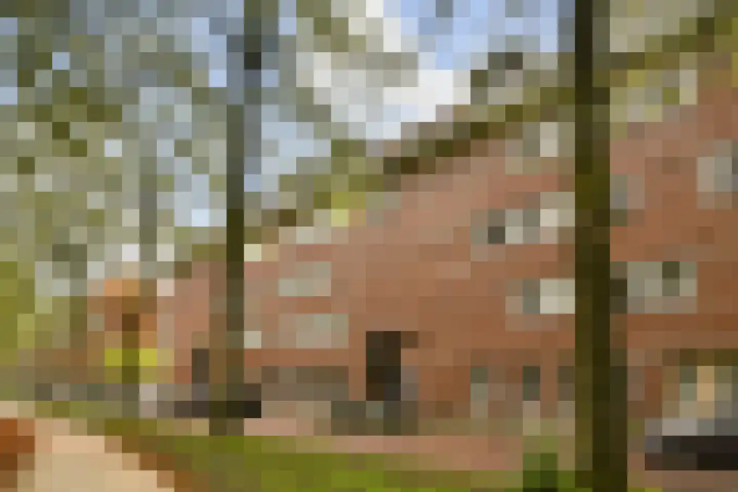 Tugelaweg 36 F Amsterdam thumbnail 26