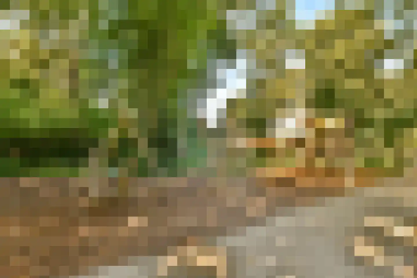 Tugelaweg 36 F Amsterdam thumbnail 27