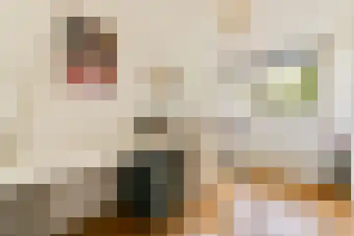 Tugelaweg 40 F Amsterdam thumbnail 15