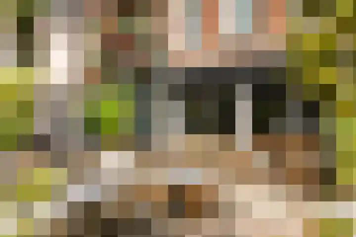Tugelaweg 40 F Amsterdam thumbnail 29