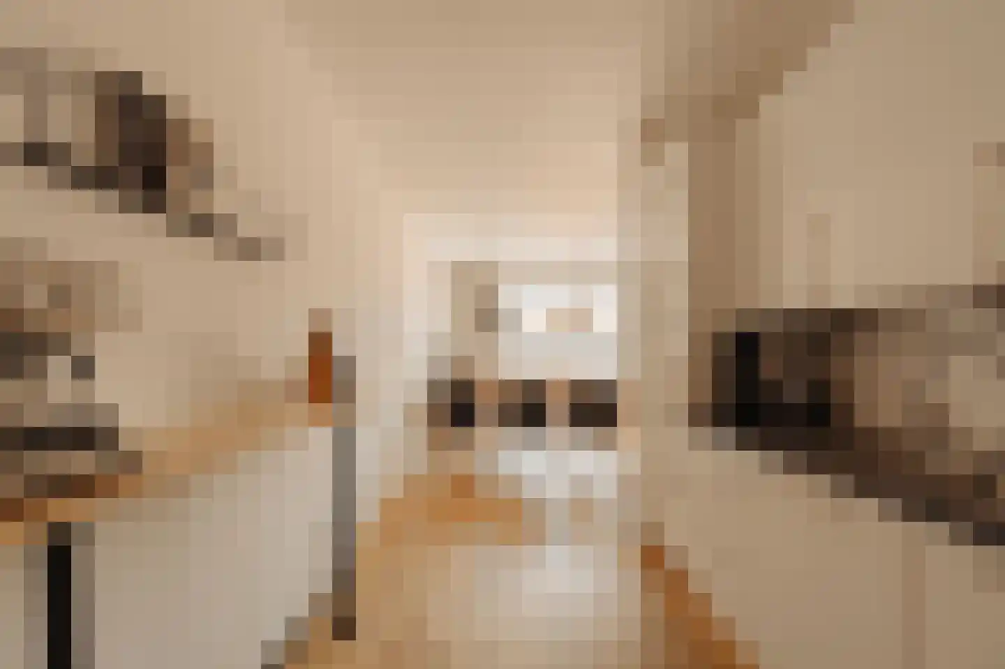 Tugelaweg 48 D Amsterdam thumbnail 11