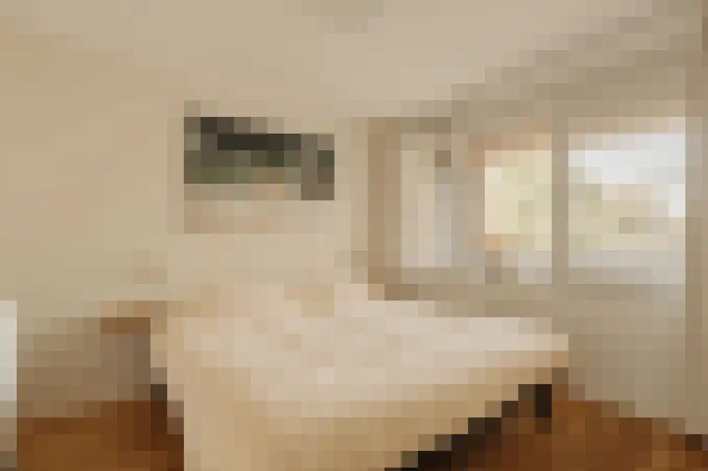 Tugelaweg 48 D Amsterdam thumbnail 13