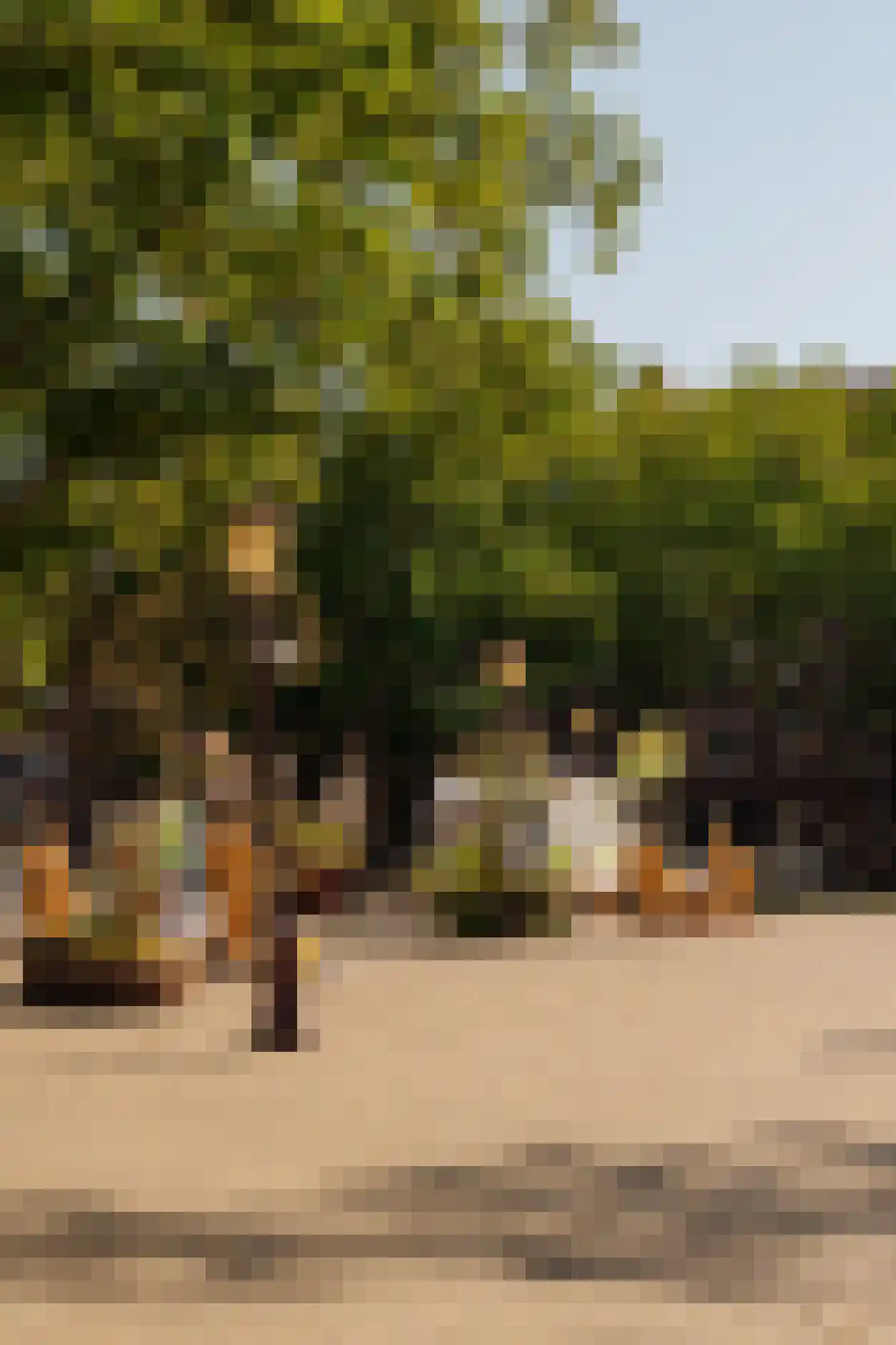 Tugelaweg 48 D Amsterdam thumbnail 28