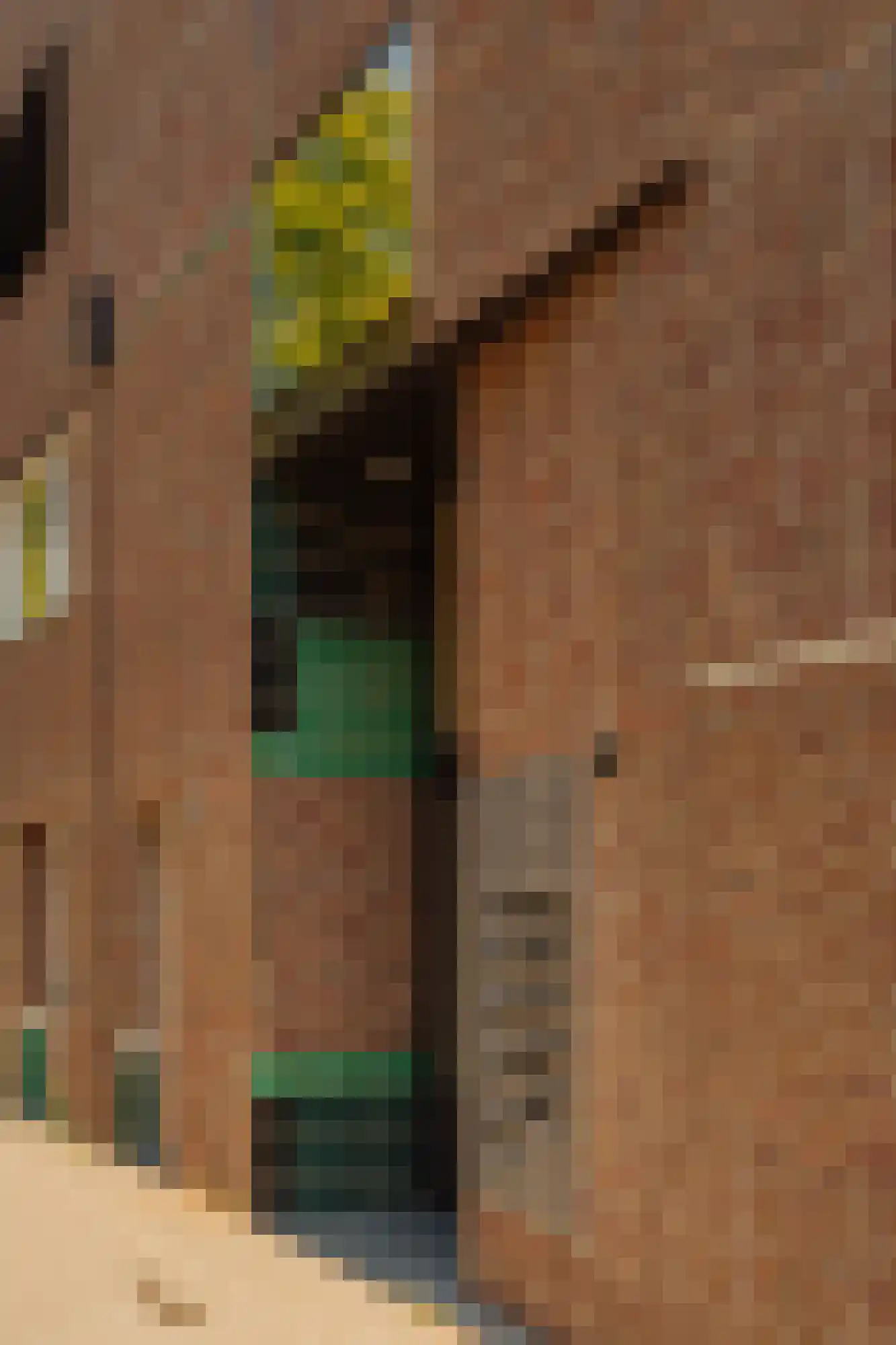 Tugelaweg 48 D Amsterdam thumbnail 6