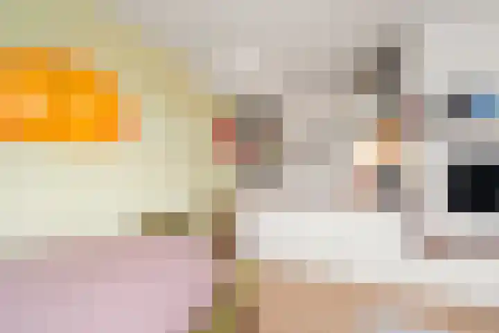 Tugelaweg 71 2 Amsterdam thumbnail 10