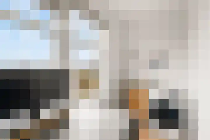 Tugelaweg 71 2 Amsterdam thumbnail 21