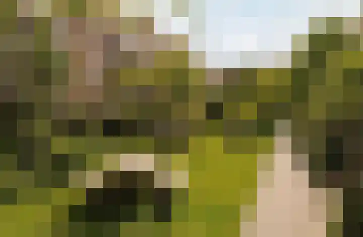 Tugelaweg 71 2 Amsterdam thumbnail 30
