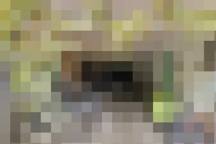 Tugelaweg 71 2 Amsterdam thumbnail 31