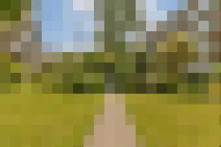 Tugelaweg 73 A 3 Amsterdam thumbnail 17