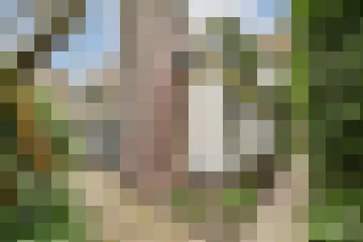 Tugelaweg 73 A 3 Amsterdam thumbnail 19