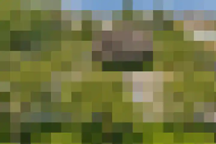 Tugelaweg 73 A 3 Amsterdam thumbnail 4