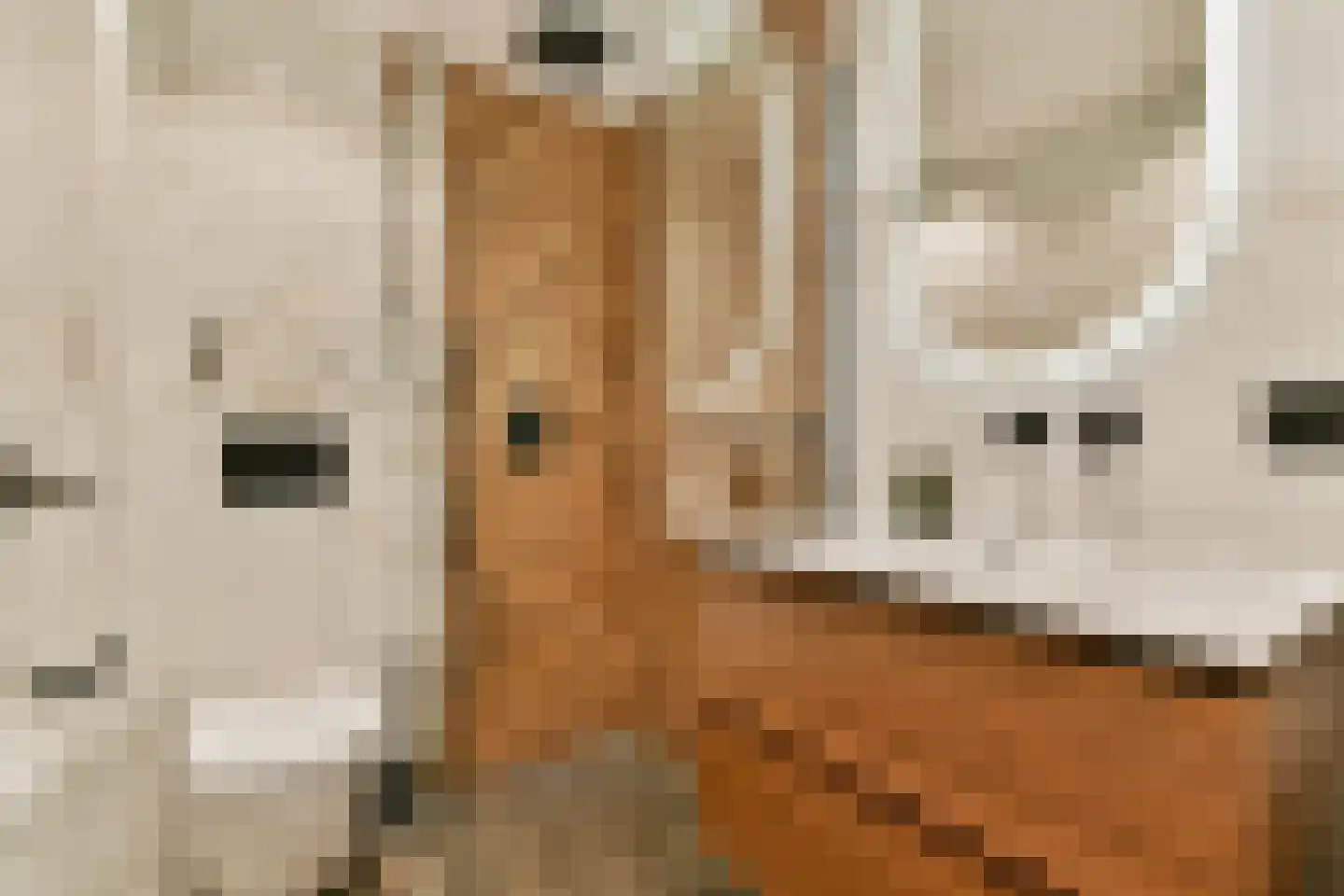 Tugelaweg 74 2 Amsterdam thumbnail 17