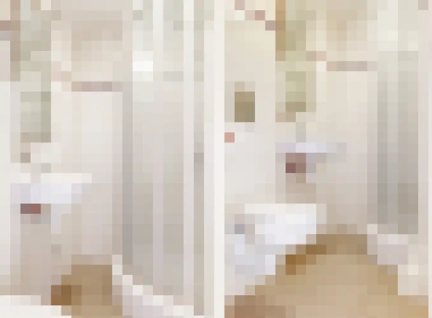 Tugelaweg 74 2 Amsterdam thumbnail 17