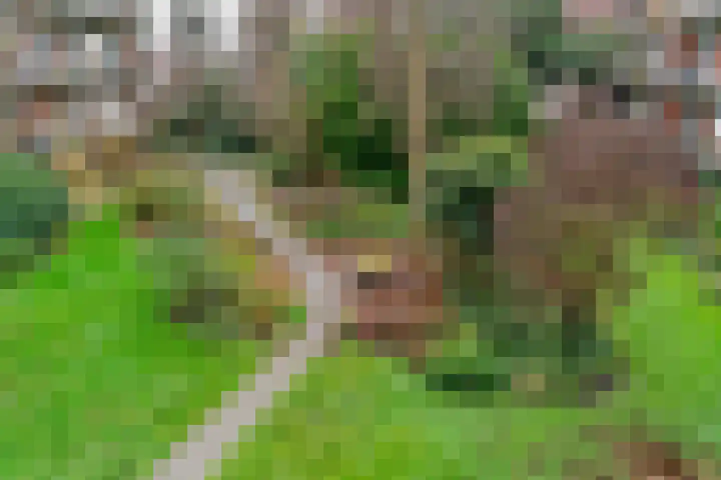 Tugelaweg 74 2 Amsterdam thumbnail 22