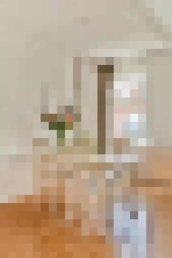 Tugelaweg 76 A 3 Amsterdam thumbnail 4