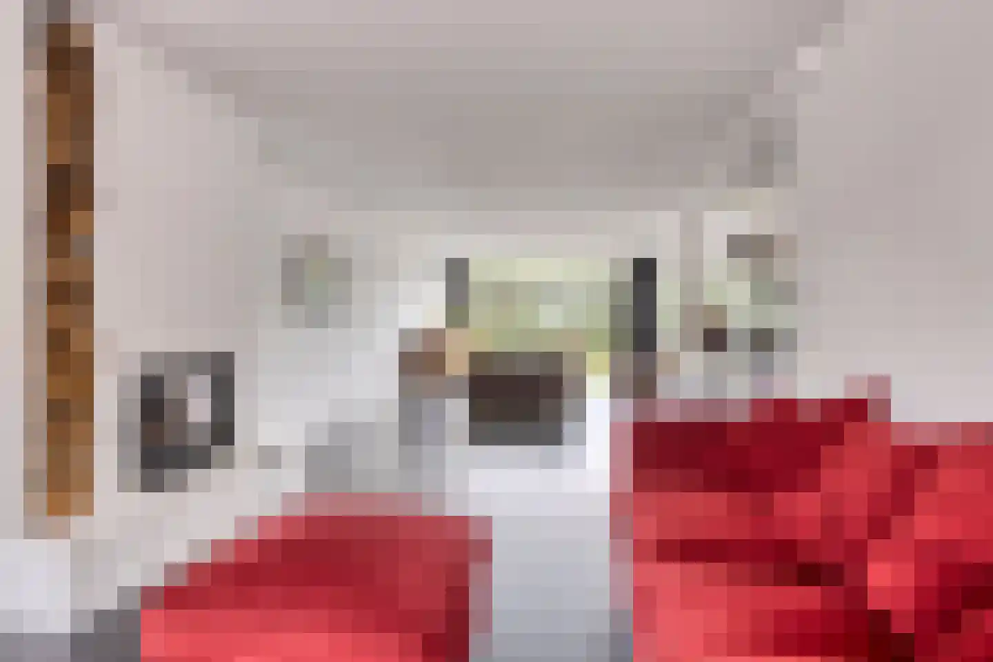 Tugerallee 16 's-Heerenberg thumbnail 15