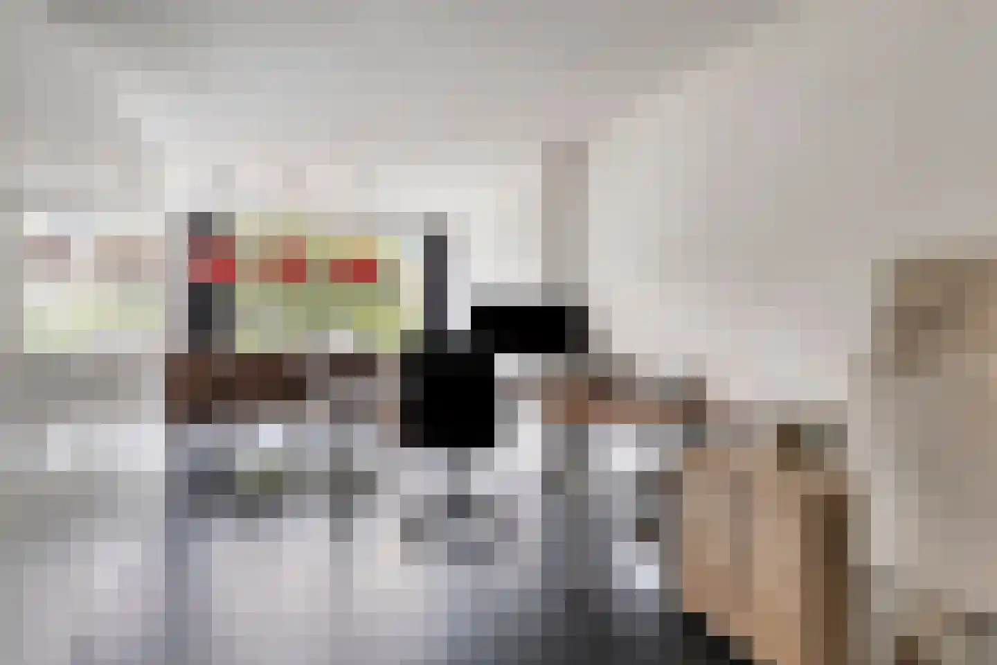 Tugerallee 16 's-Heerenberg thumbnail 7