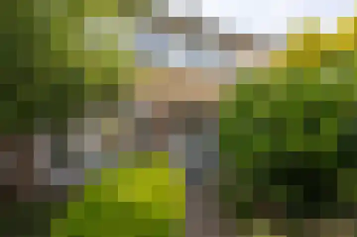 Tugerallee 31 's-Heerenberg thumbnail 4