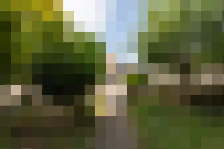 Tugerallee 31 's-Heerenberg thumbnail 40