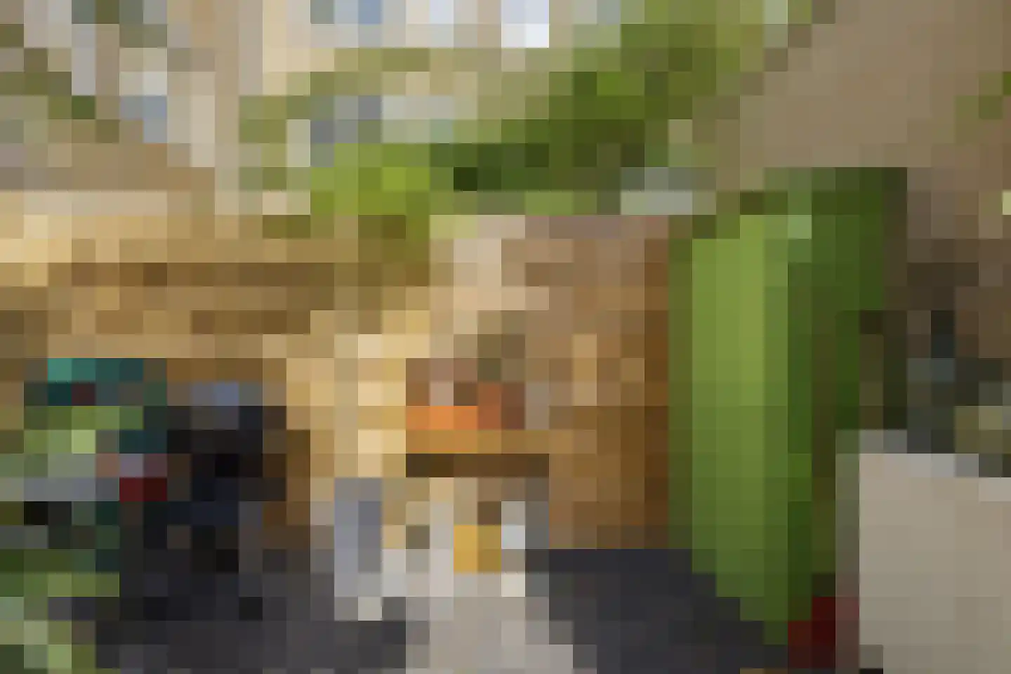 Tuigerstraat 40 Amsterdam thumbnail 41