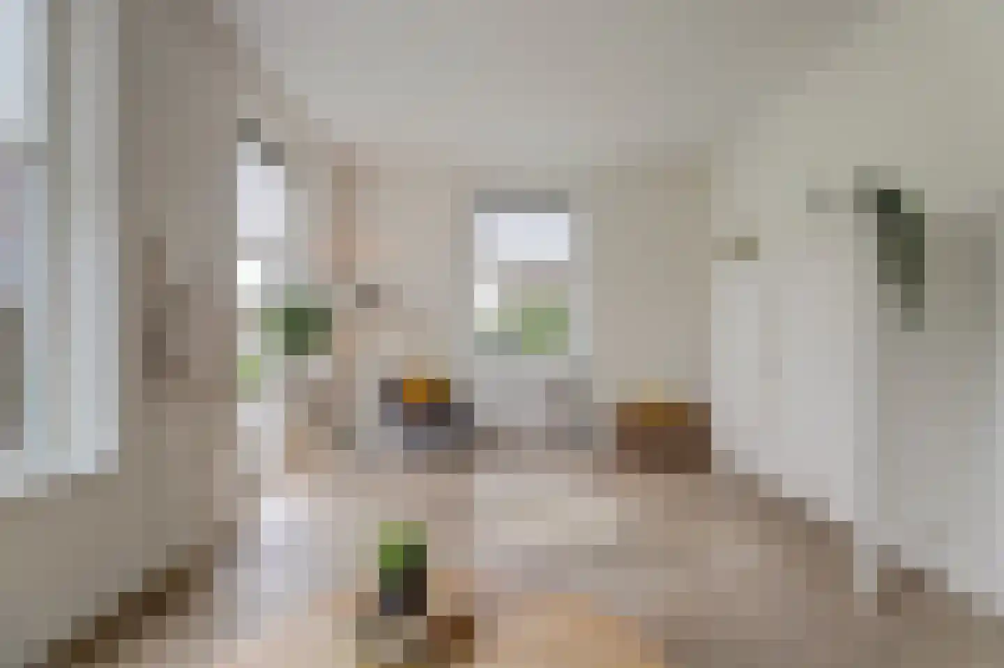 Tuikwerd 35 Groningen thumbnail 13