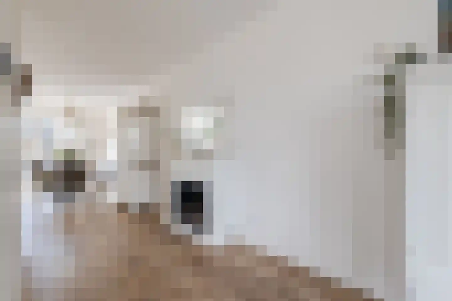 Tuikwerd 35 Groningen thumbnail 17