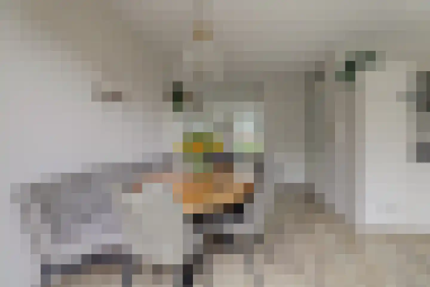 Tuikwerd 35 Groningen thumbnail 17