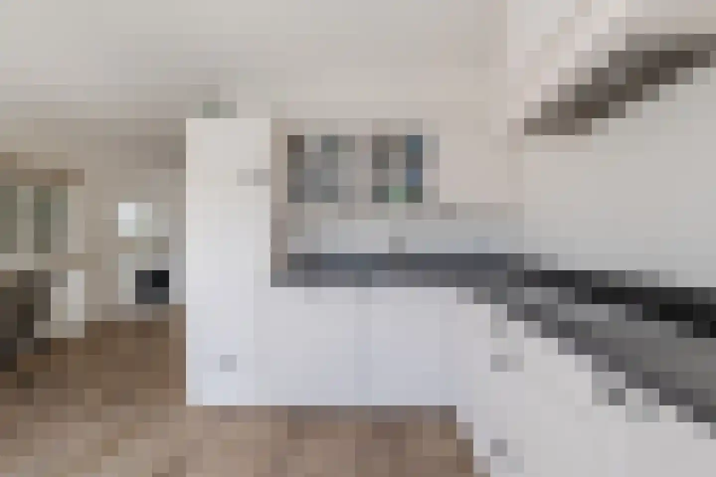 Tuikwerd 35 Groningen thumbnail 23