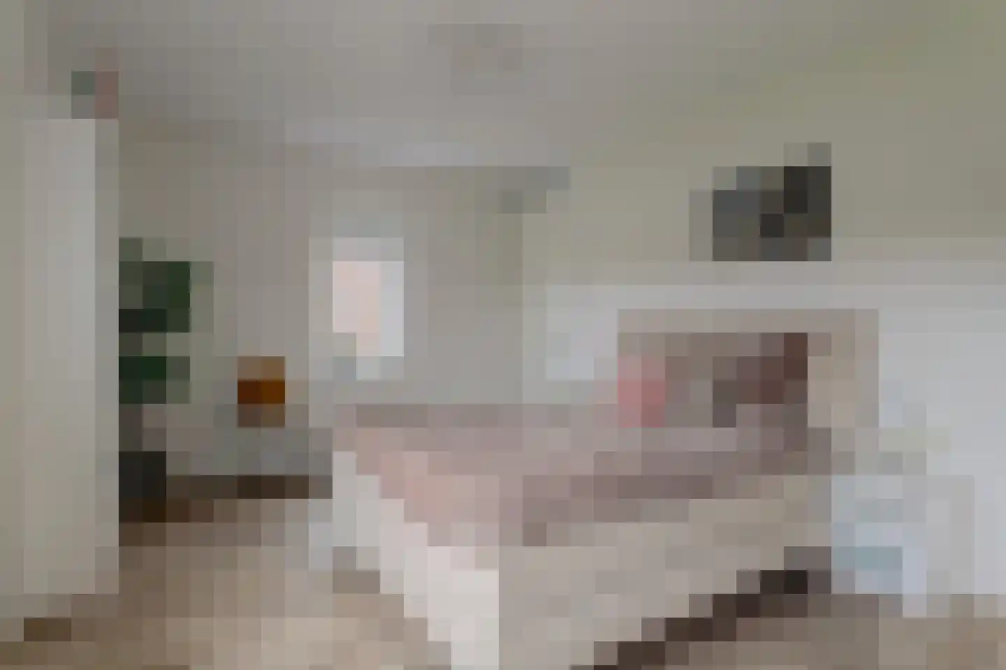 Tuikwerd 35 Groningen thumbnail 25