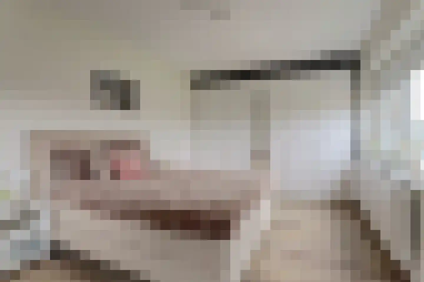 Tuikwerd 35 Groningen thumbnail 26