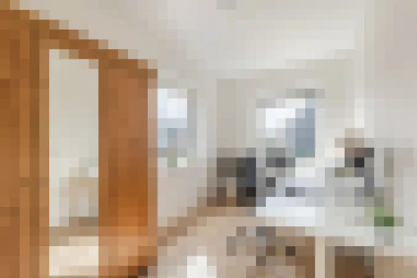 Tuikwerd 35 Groningen thumbnail 31