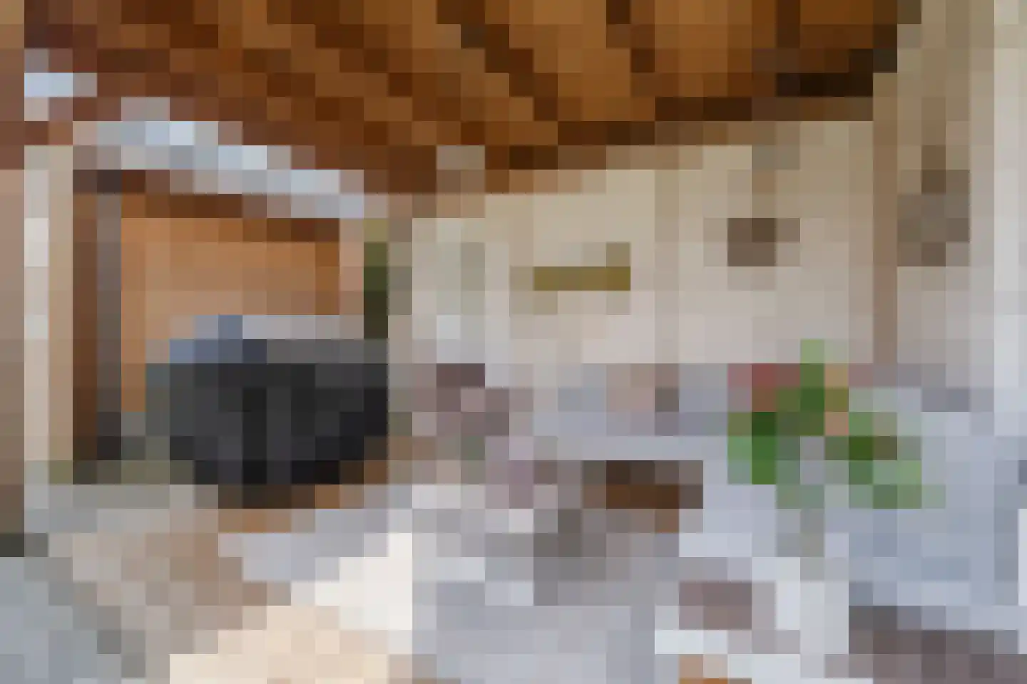 Tuikwerd 35 Groningen thumbnail 53
