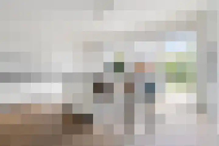 Tuikwerd 65 Groningen thumbnail 12