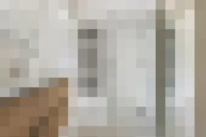 Tuikwerd 65 Groningen thumbnail 27