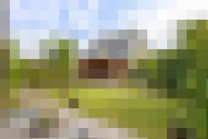 Tuikwerd 65 Groningen thumbnail 34