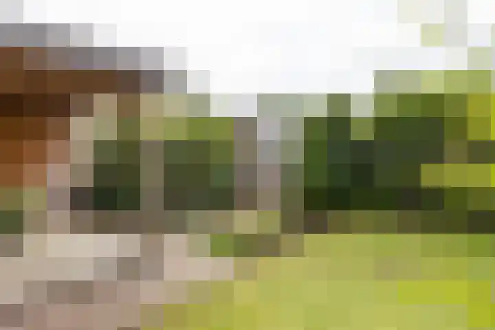 Tuikwerd 65 Groningen thumbnail 35