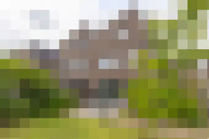 Tuikwerd 65 Groningen thumbnail 37