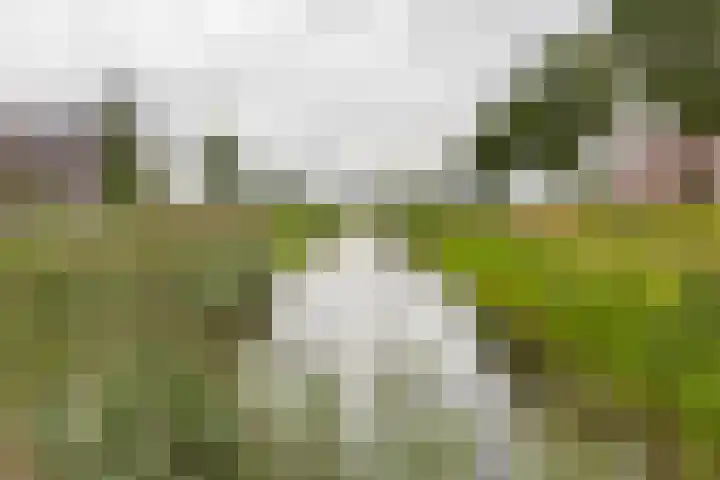 Tuikwerd 65 Groningen thumbnail 40