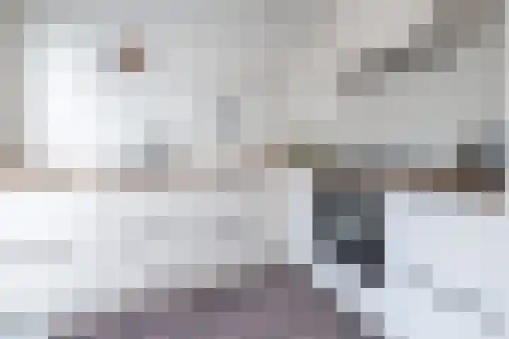 Tuilland 11 Doorn thumbnail 11