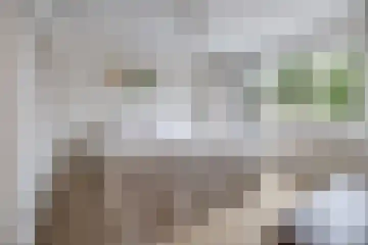 Tuilland 11 Doorn thumbnail 16
