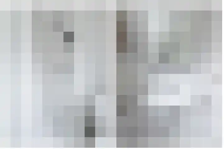 Tuilland 11 Doorn thumbnail 23