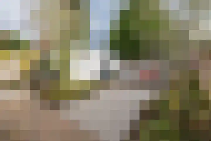Tuilland 11 Doorn thumbnail 31