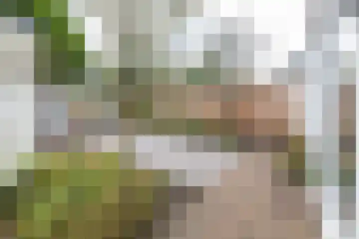 Tuilland 11 Doorn thumbnail 33