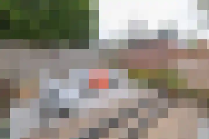 Tuilland 11 Doorn thumbnail 34