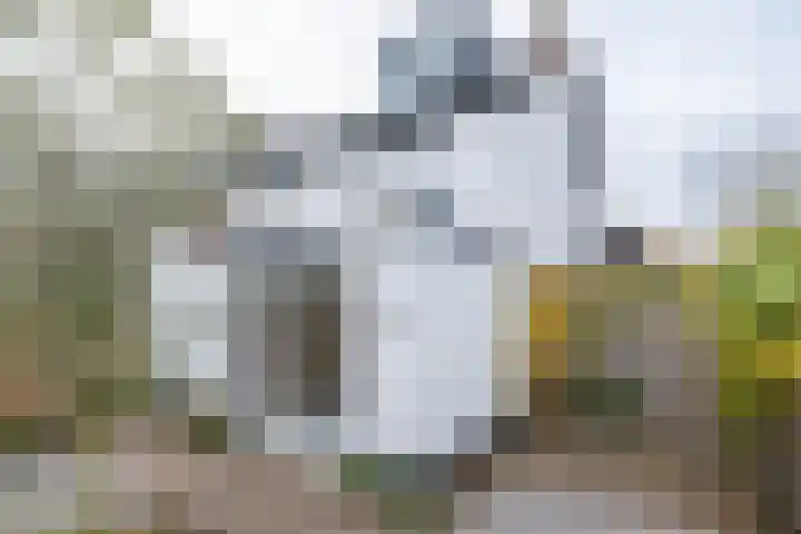 Tuilland 11 Doorn thumbnail 38