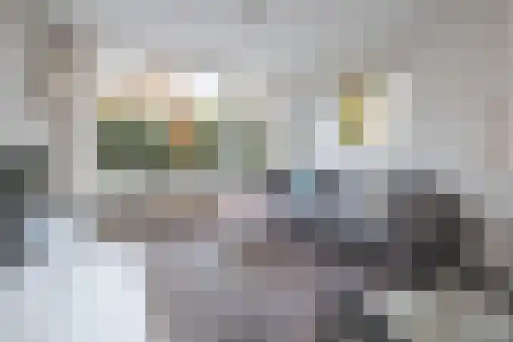 Tuilland 11 Doorn thumbnail 4