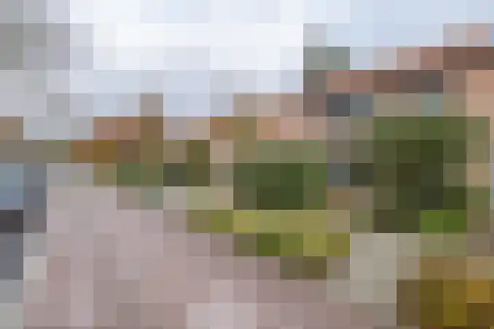 Tuilland 11 Doorn thumbnail 43